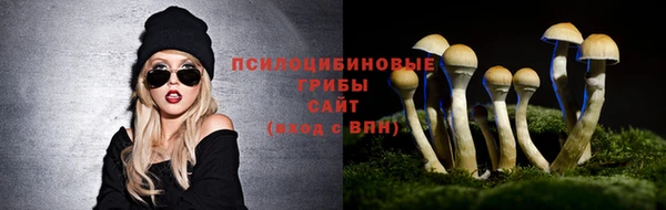 прущая мука Кинешма