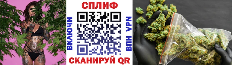 Бошки марихуана семена  Купить где  Фатеж 